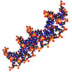 3D rendering illustration of DNA molecules