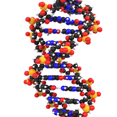 3D rendering illustration of DNA molecules