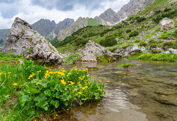 Urlaub im Kleinwalsertal, Österreich: Wanderung im Wildental, Fluchtalpe, Wiesalpe - Flußbett mit...