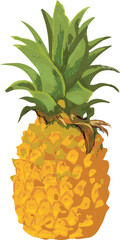 Obraz premium Piña, fruta, colores naranja y verde en diferentes tonos, vector de fruta