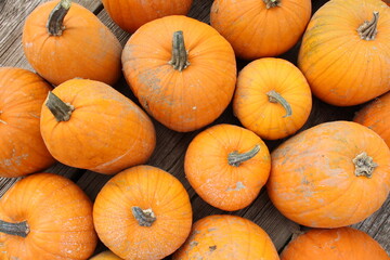 pumpkin and wood background