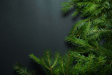 branches of spruce and pine on a black background with a place for the text mockup, the concept of the new year