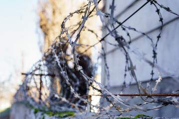 Steel barbed wire on the fence for security at the security facility. Protection against penetration into forbidden territory