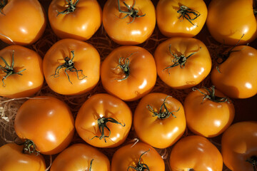 Yellow tomatoes on the market.