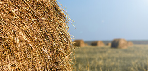 Haystack on the field close-up. Harvest concept. Rural scenery. Banner