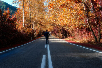 solo male walking on beautiful road with white stripes and colorful trees on autumn season 
