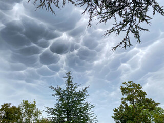 Stormy skies. Big gray clouds announcing the rain.