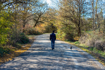 solo male walking on beautiful road with colorful trees
