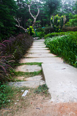 white cement path in the middle of lush gorgeous garden