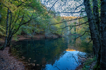 camping on forest concept, bolu seven seas national park colored leaves on trees and autumn on lake side