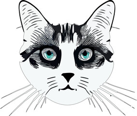 Isolated Beautiful Cat portrait illustration