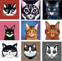 Isolated Beautiful Cat portrait Collection