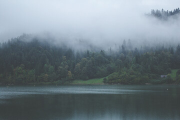 fog on the river