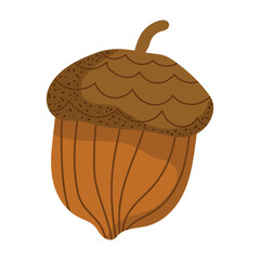 acorn nut icon