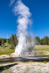 Riverside Geyer erupts on a sunny summer day, with a rainbow