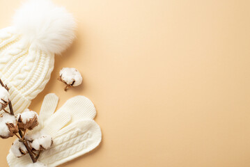 Winter concept. Top view photo of white knitted mittens bobble hat and cotton branch on isolated beige background with copyspace