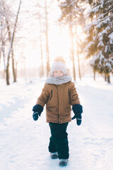 Fototapeta na wymiar Winter portrait of a boy lifestyle . Winter. An article about children walking in the cold. Winter Games.