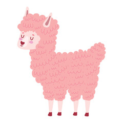 Fototapeta premium cute pink llama