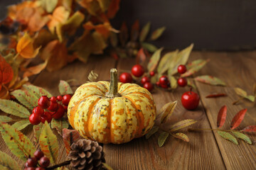autumn background with pumpkin and colorful leaves on wooden background. Halloween or Thanksgiving Day design