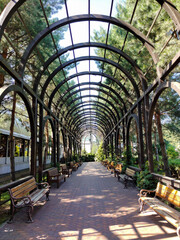 Naklejka premium In a city park, a long arched alley in the perspective of a tunnel with rows of benches on the sides