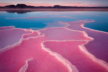 Luftbild des Pink Lake, unglaubliche Naturlandschaft. Der Salzsee wurde rosa. Leuchtend rote Salzablagerungen an den Ufern des wunderschönen rosafarbenen Sees. © Viks_jin