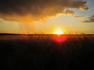atardecer