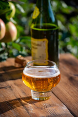 Making and tasting of fresh apple cider produced on organic farm from bio apples in Normandy, France