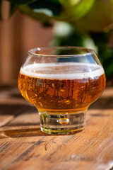 Making and tasting of fresh apple cider produced on organic farm from bio apples in Normandy, France
