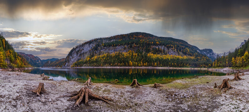 Tree stumps near Gosauseen or Vorderer Gosausee lake, Upper Austria. Colorful autumn alpine view of mountain lake with clear transparent water and reflections. Dachstein summit and glacier in far.