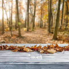 Desk of free space and autumn leaves 