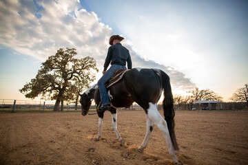 Horse Trainer with Paint Horse