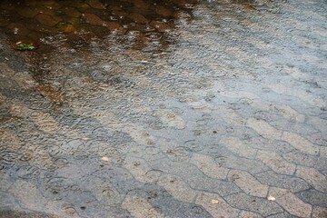 Nasser braun-grauer Pflastersteinplatz mit Wasserpfütze und Regentropfen bei Regen am Nachmittag im Sommer