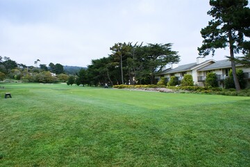 Sky Plant Cloud Tree Natural landscape Land lot