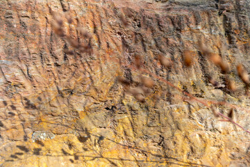 Texture of the stone