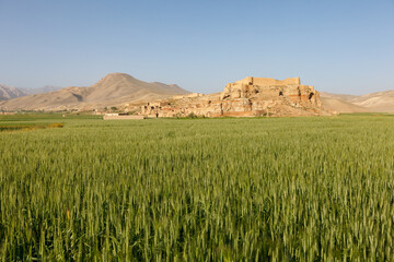 Fototapeta na wymiar Fort in green field, Kadalak village, Bamyian Province, Northern Afghanistan
