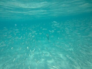 Water Liquid Azure Fluid Lake Aqua