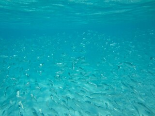 Water Liquid Blue Azure Fluid Underwater