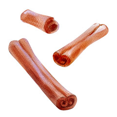 Watercolor illustration of cinnamon isolated on white background.