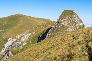 Fototapeta premium Sagzahn und Rofanspitze