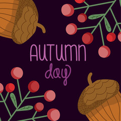 autumn day, acorns and berries