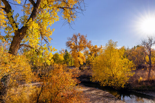 A scenic view of a small creek winding through the Landscape on a pretty Fall day in Colorado.