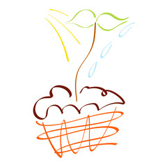 young green sprout, sunlight and watering, colorful sketch