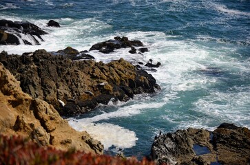 Fototapeta na wymiar Waves crashing on rocks in Bodega Bay, California. Seals resting on brown rocks with blue waves around them.