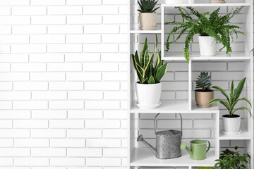 Shelving unit with different houseplants near white brick wall