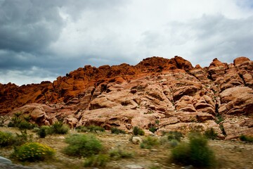 Obraz premium Red Rock Canyon National Conservation Area Red Rock Canyon Cloud Plant Sky Plant community
