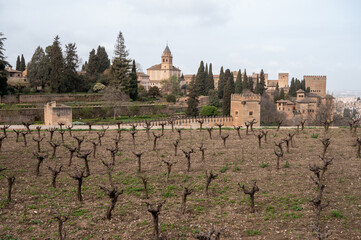 View on vineyards on hill and medieval fortress Alhambra in Granada, Andalusia, Spain