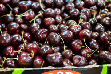 Fresh ripe sweet cherry berries on market