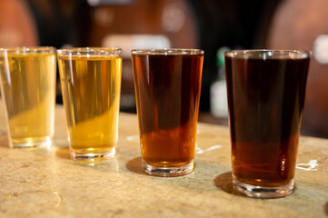Tasting of different sweet wines from wooden barrels on old bodega in central part of Malaga, Andalusia, Spain