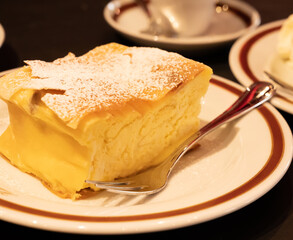 Austrian sweet dessert, filled with white cheese strudel served warm in traditional cafe in Vienna, Austria