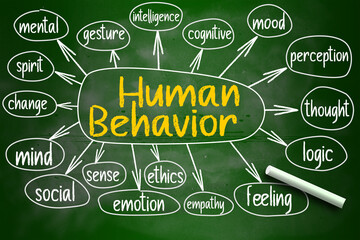 Human behavior mind map written on chalkboard